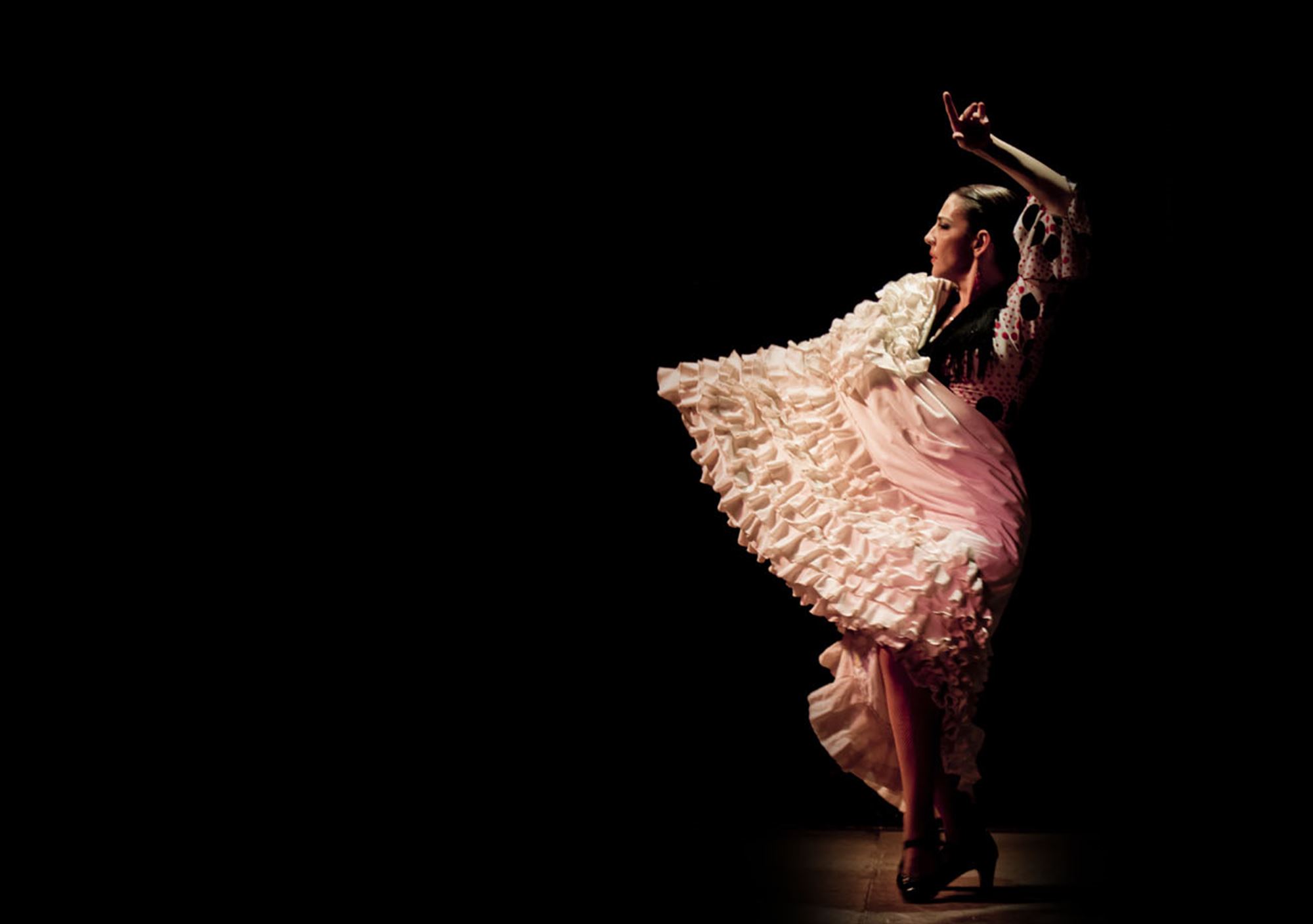 reservar  show Flamenco Tablao Torres Bermejas Madrid